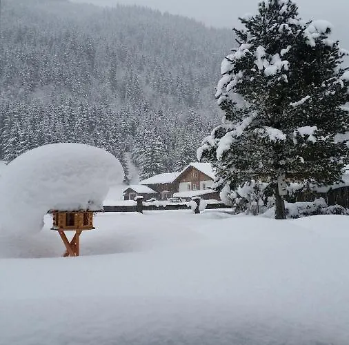 Helmuth Oberreiter Bed & Breakfast Flachau